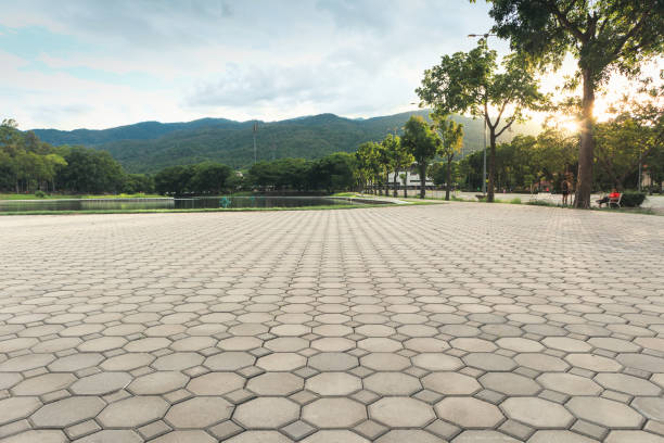 Best Custom Driveway Pavers  in Avon, IN